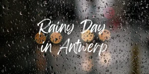 Read more about the article 8 Things To Do In Antwerp When It’s Raining