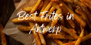 Read more about the article Discover the Best Frites in Antwerp