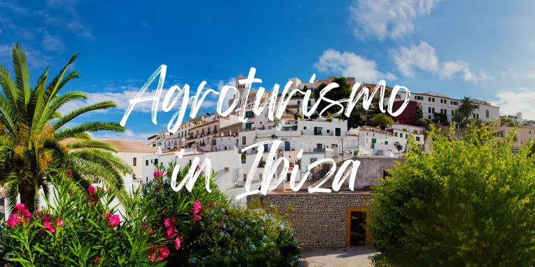 The 8 Best Agroturismo Hotels in Ibiza (2025)