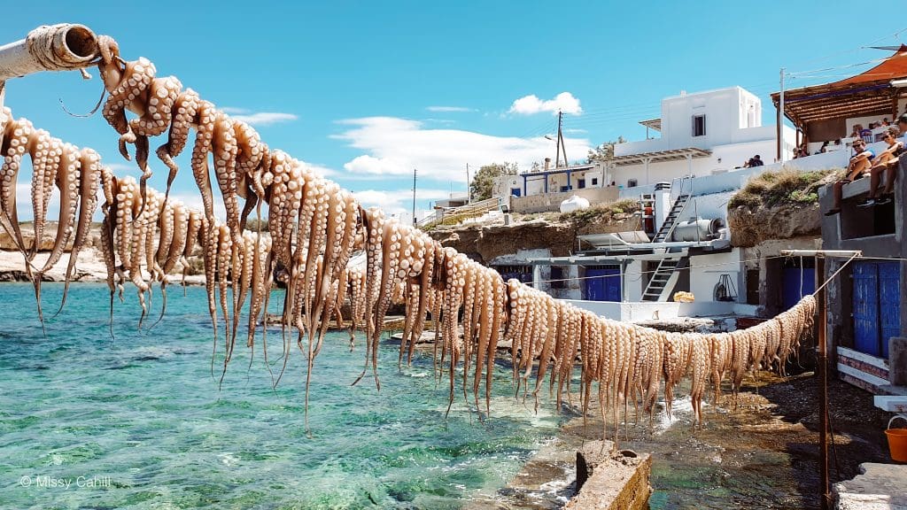 Octopus sun drying on a washing line in Mandrakia, Milos.