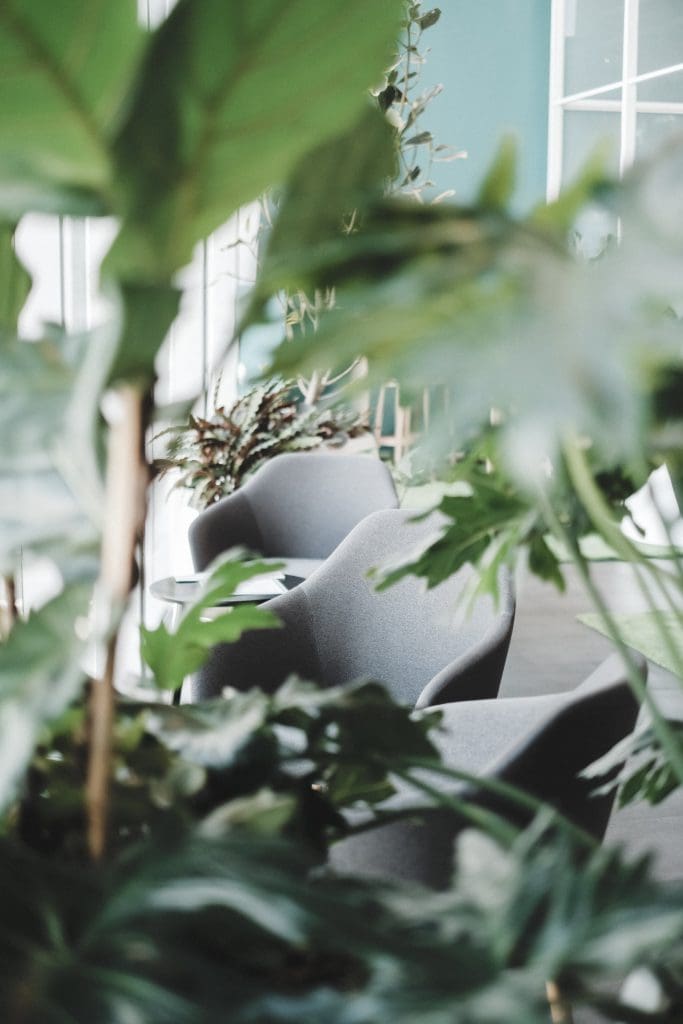 Green Coworking Space office with plants and natural life.