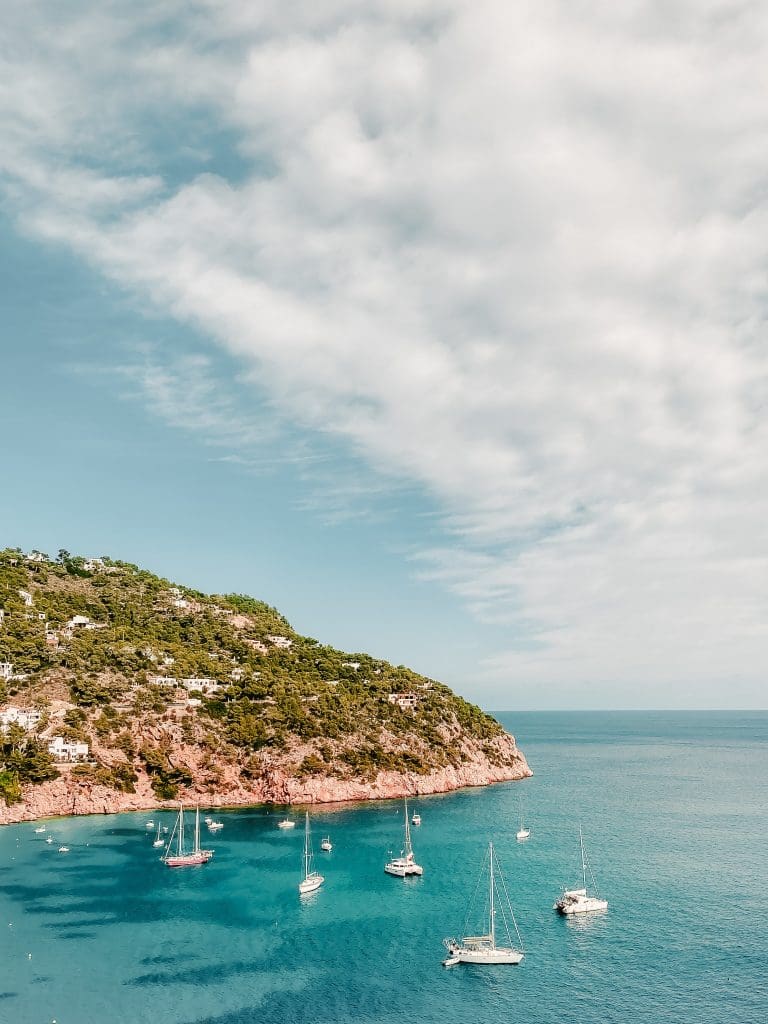 catamaran party ibiza