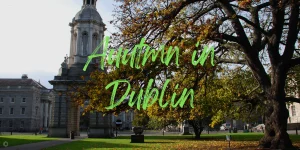 Read more about the article 10 Things To Do In Autumn In Dublin 2023