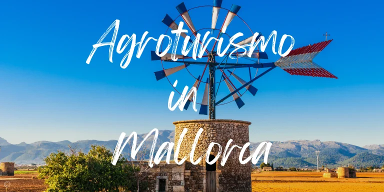 The 10 Best Rustic Mallorca Agroturismo Hotels in 2024