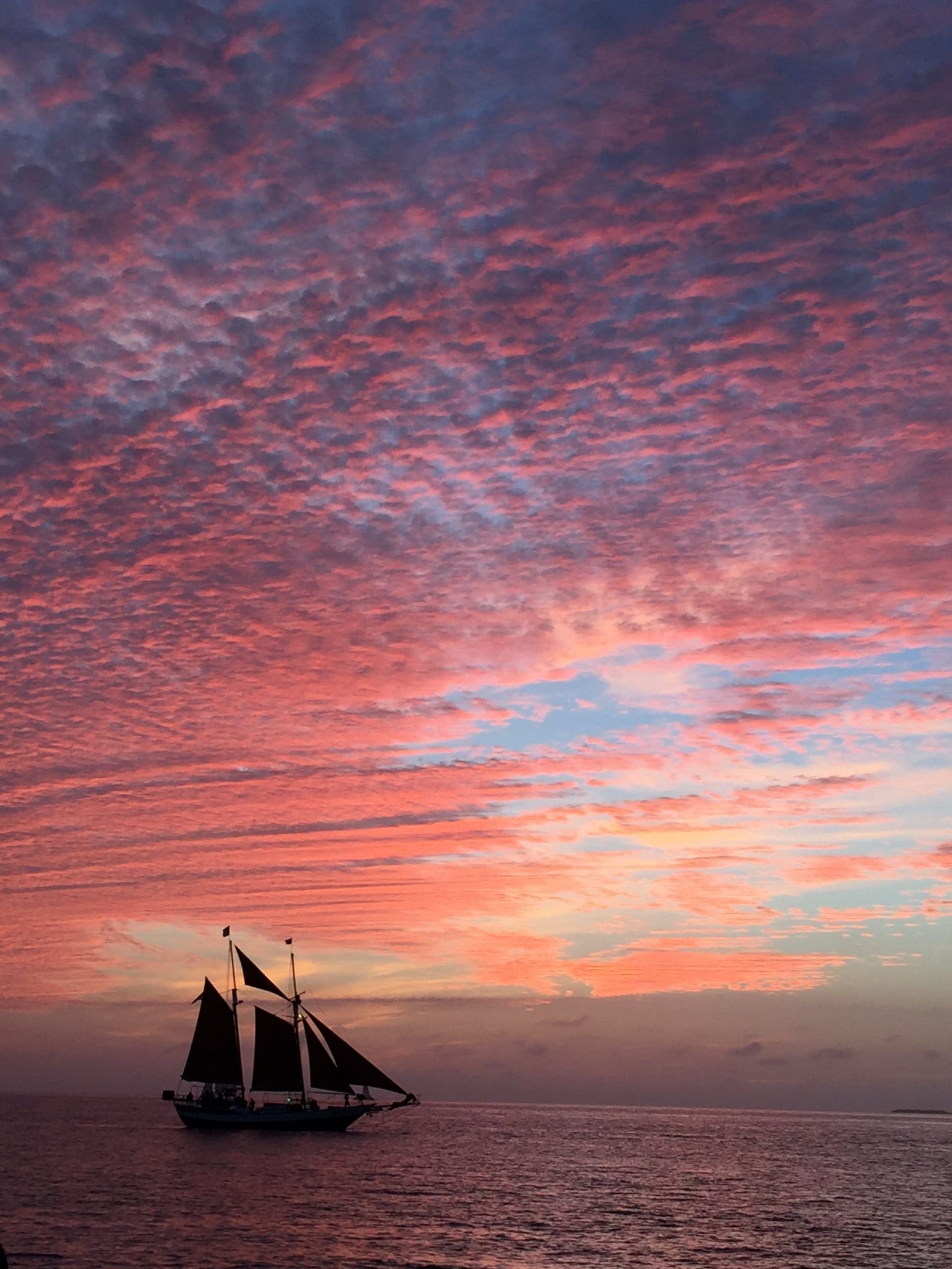 The 8 Best Sunset Cruises in Key West (2024) Travels With Missy
