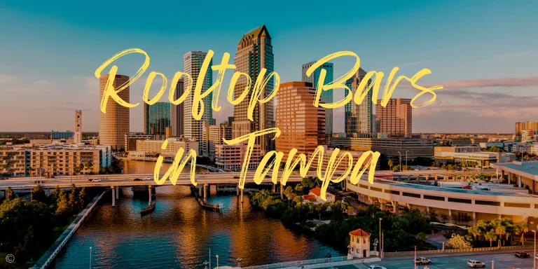 The 6 Best Rooftop Bars in Tampa in 2023