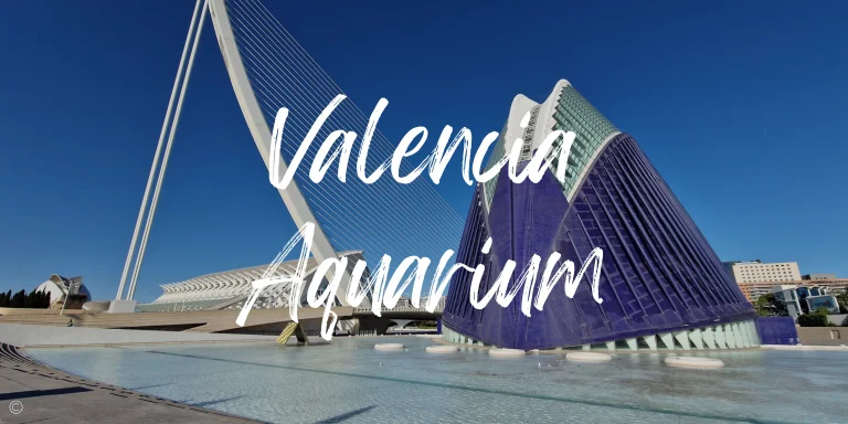 The 2025 Guide to the Oceanografic Valencia Aquarium (Tickets & Transport)