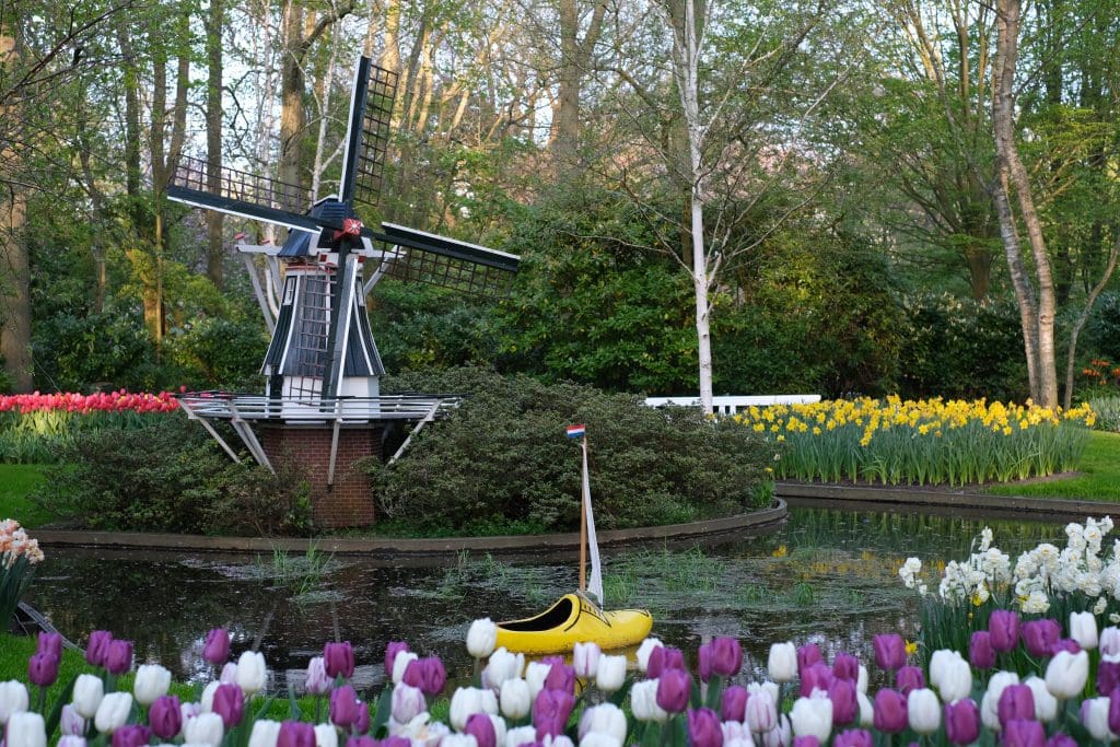 visit amsterdam tulips