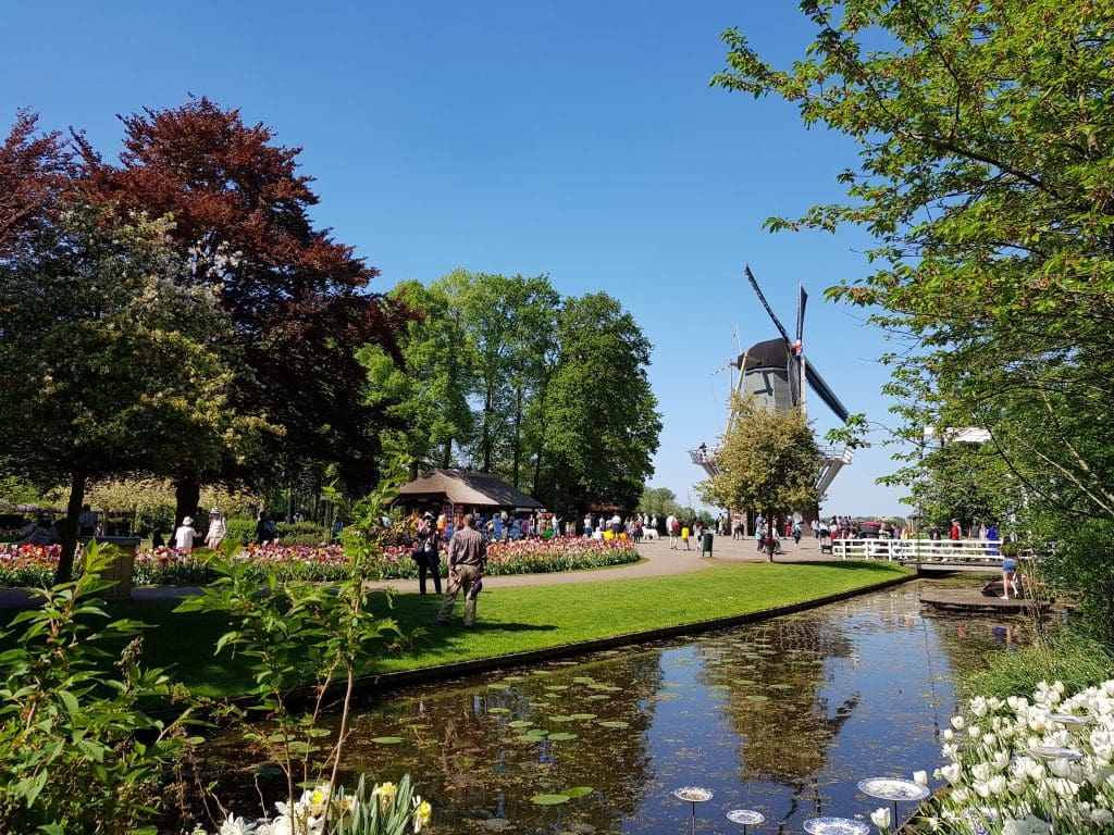 visit amsterdam tulips