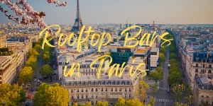 Read more about the article The 8 Best Rooftop Bars in Paris in 2023