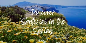 6 Reasons To Visit Santorini in Spring