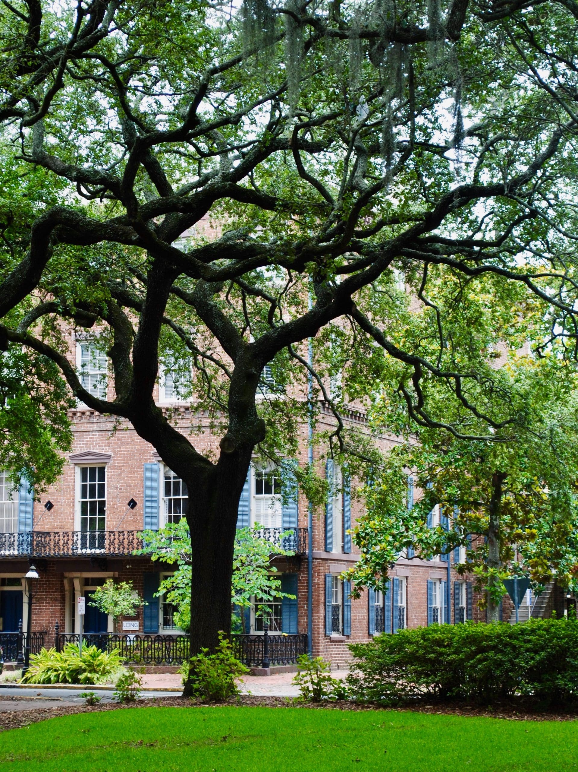 Best Bars In Savannah Ga - 7dij2rv