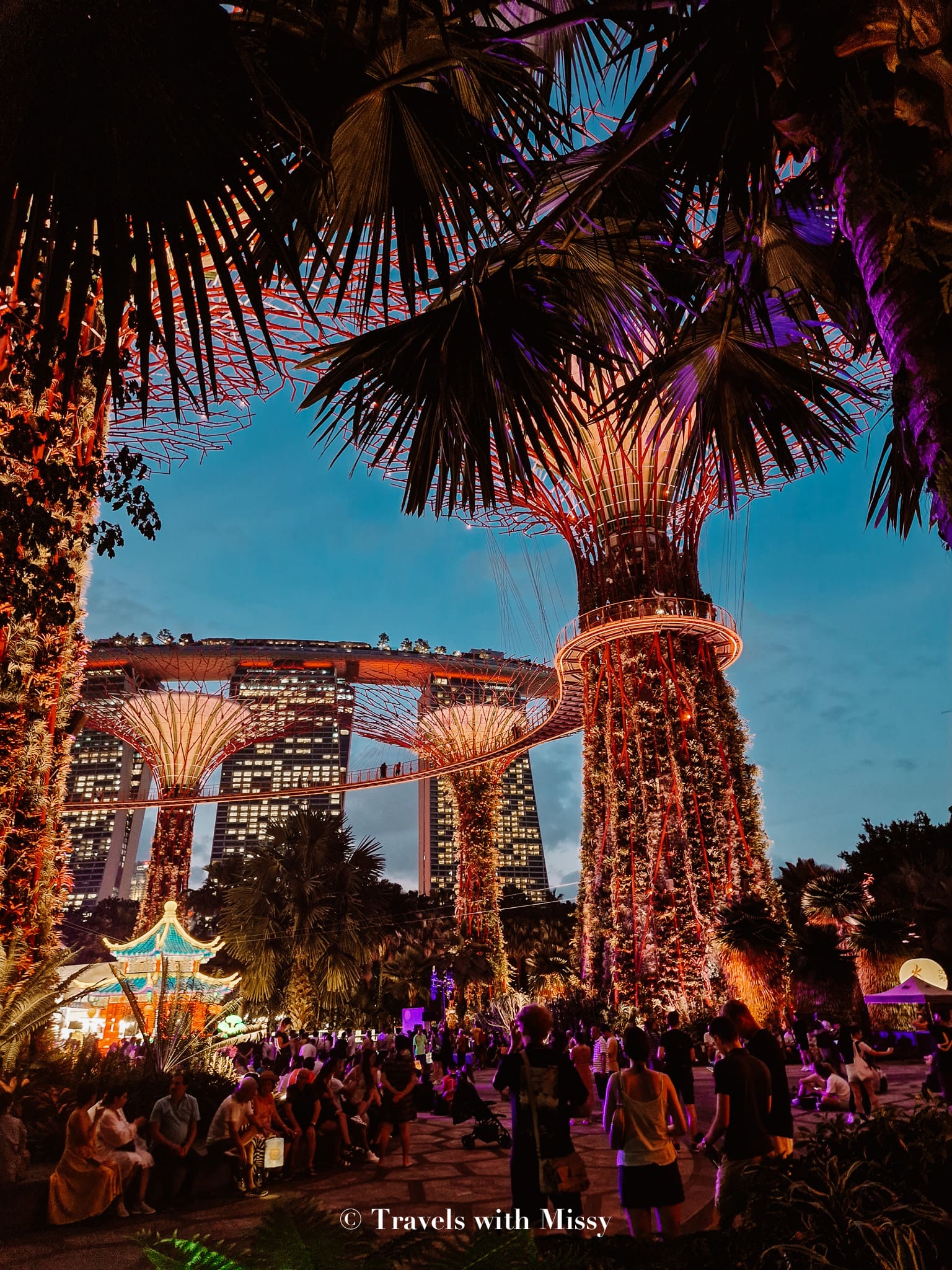 A Guide To Gardens by the Bay Light Show + Times (2025) Travels With Missy