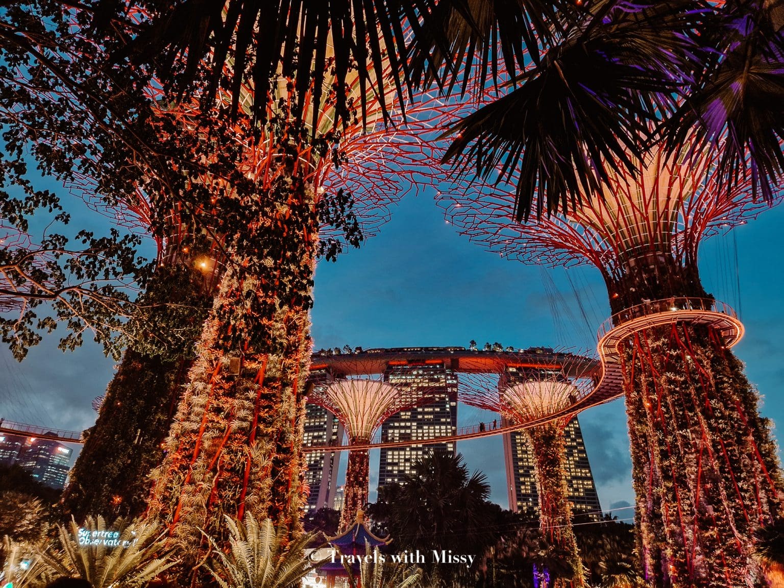 A Guide To Gardens by the Bay Light Show + Times (2025) - Travels With