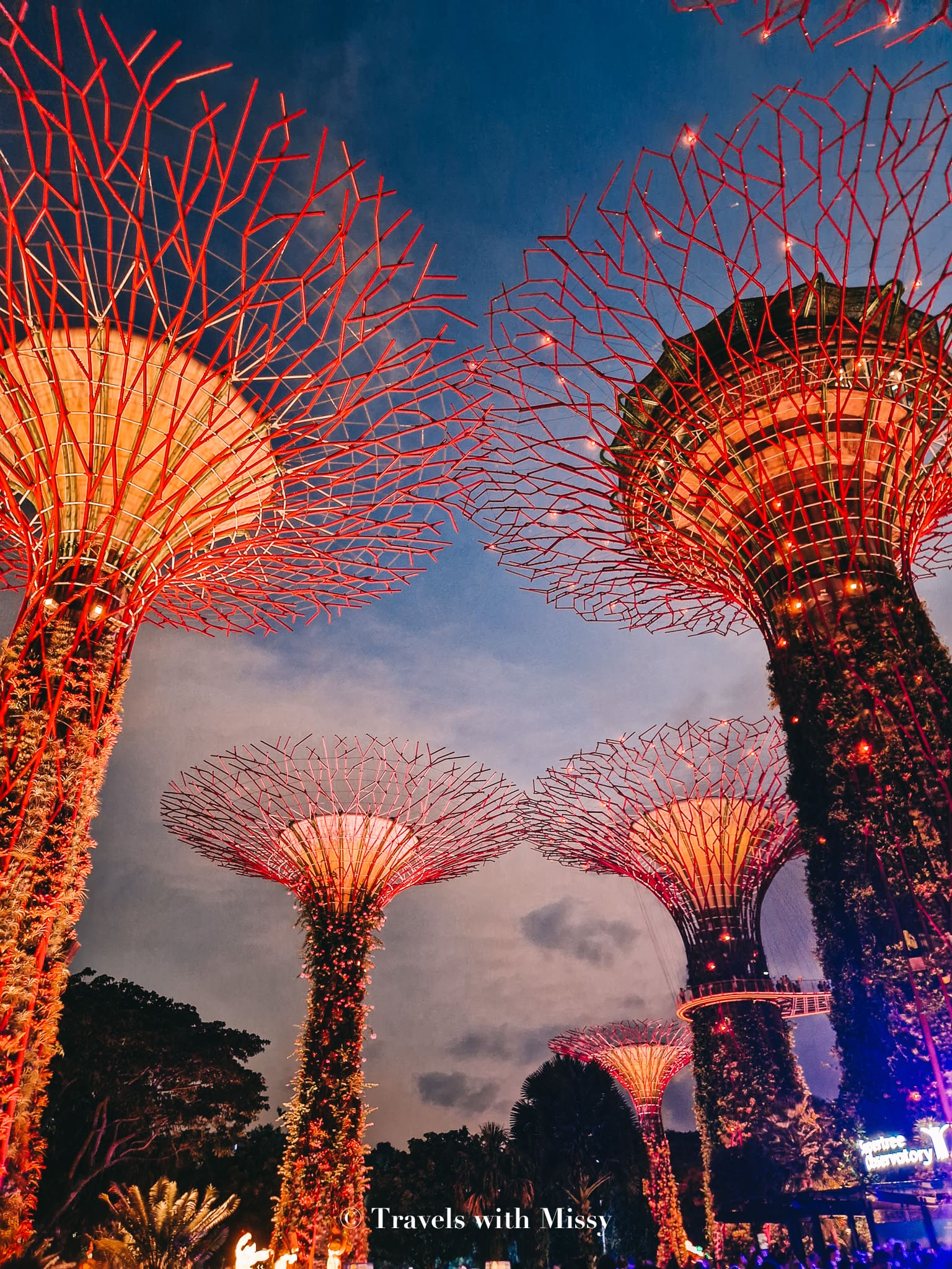 A Guide To Gardens by the Bay Light Show + Times (2024) Travels With
