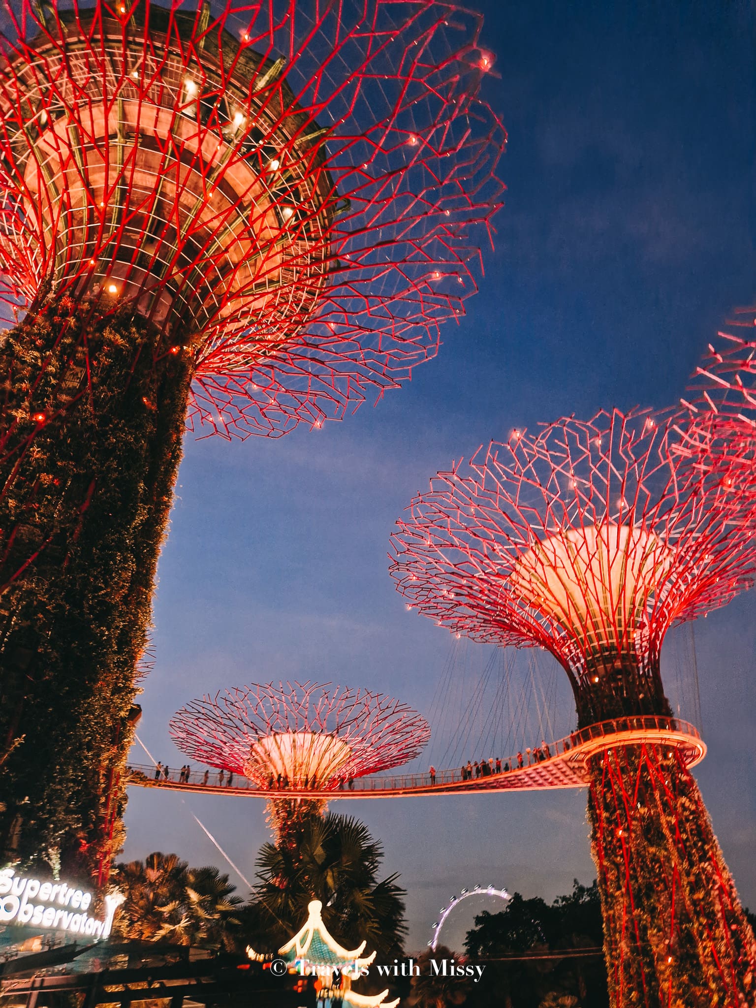 A Guide To Gardens by the Bay Light Show + Times (2025) Travels With Missy