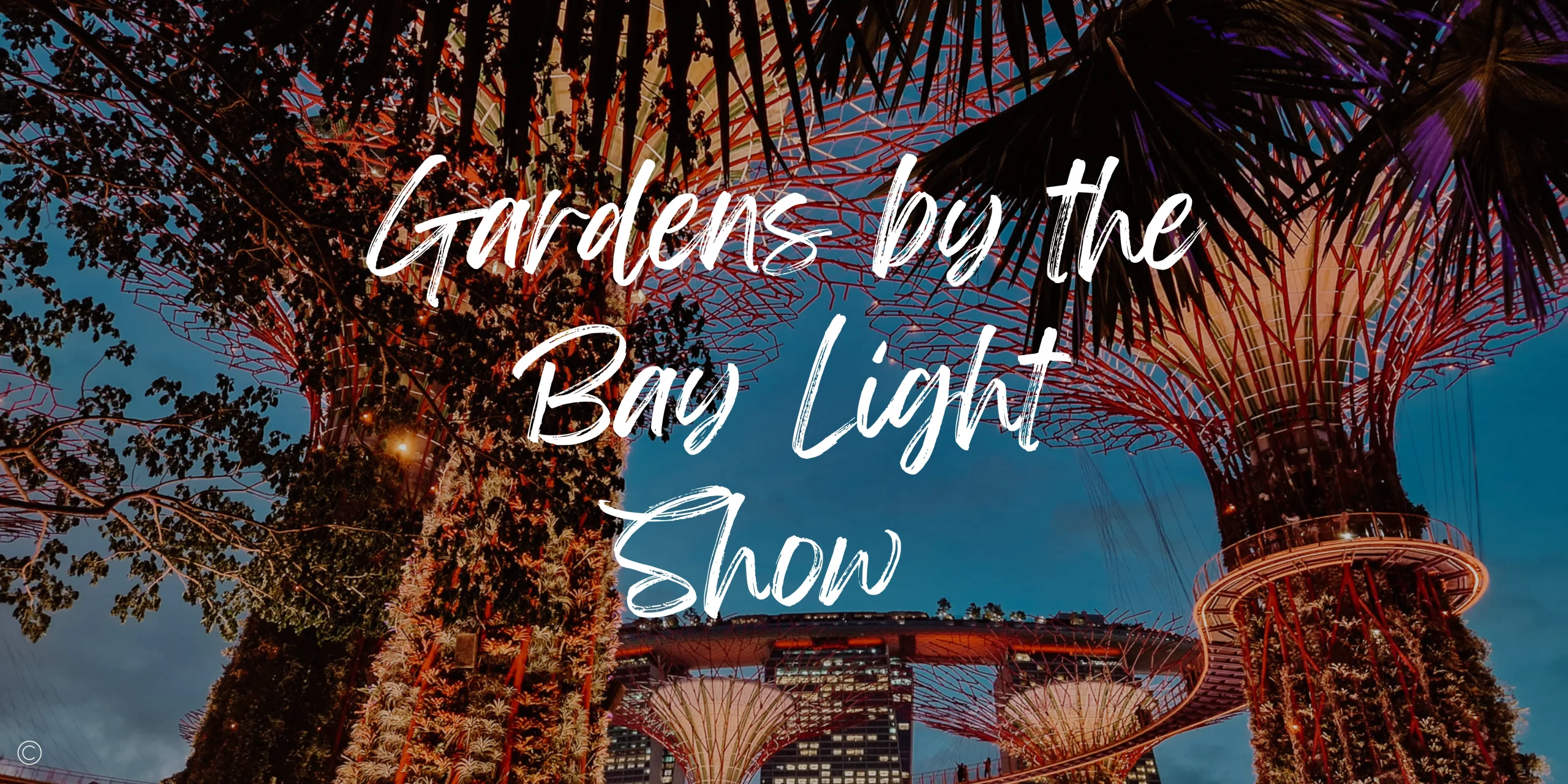 A Guide To Gardens by the Bay Light Show + Times (2023) Travels With Missy