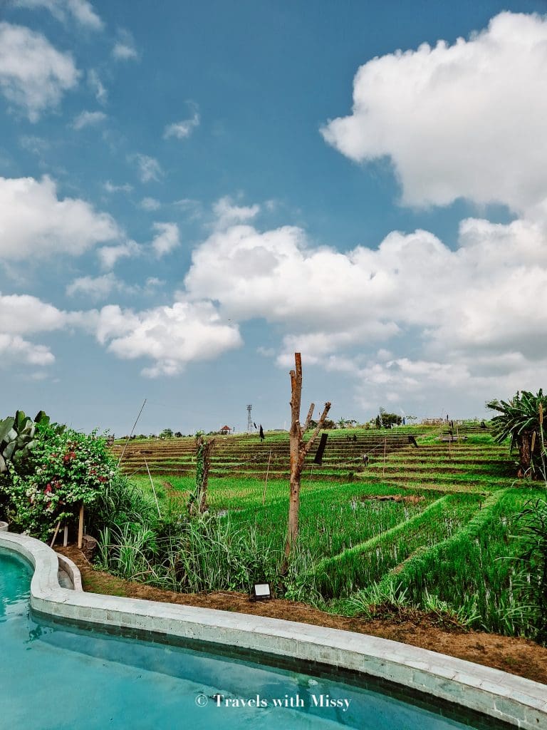 tips for travelling to bali