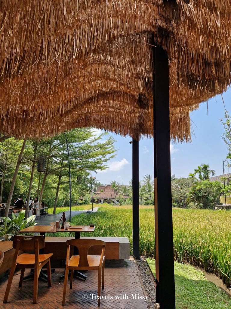 tips for travelling to bali