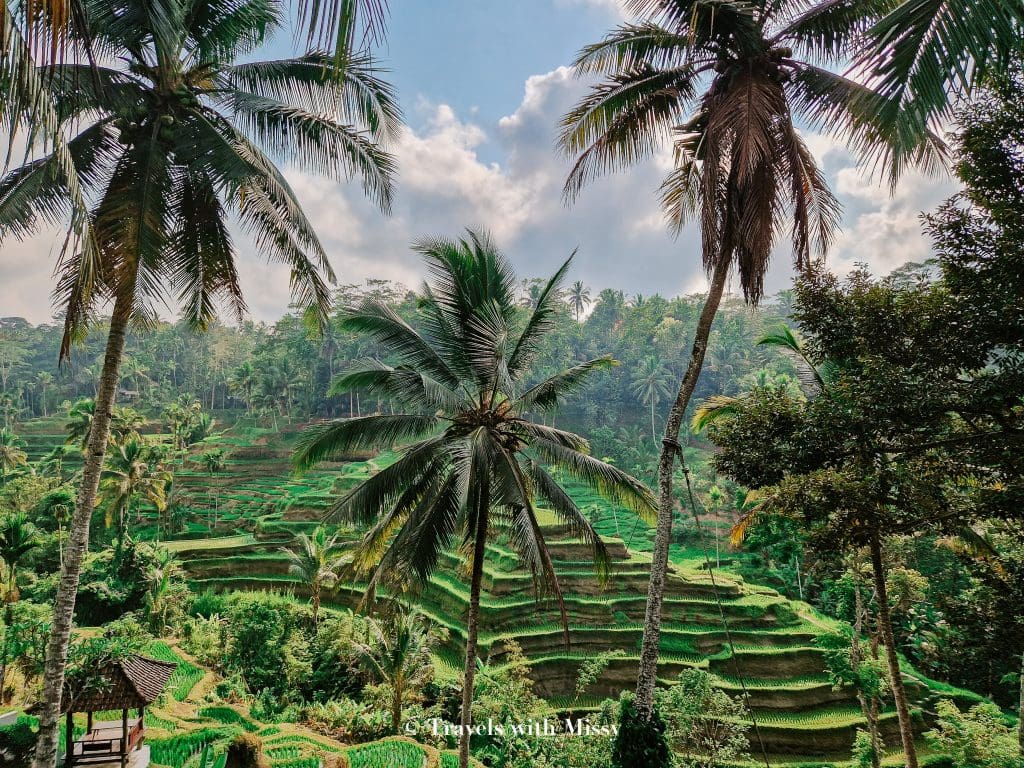 tips for travelling to bali