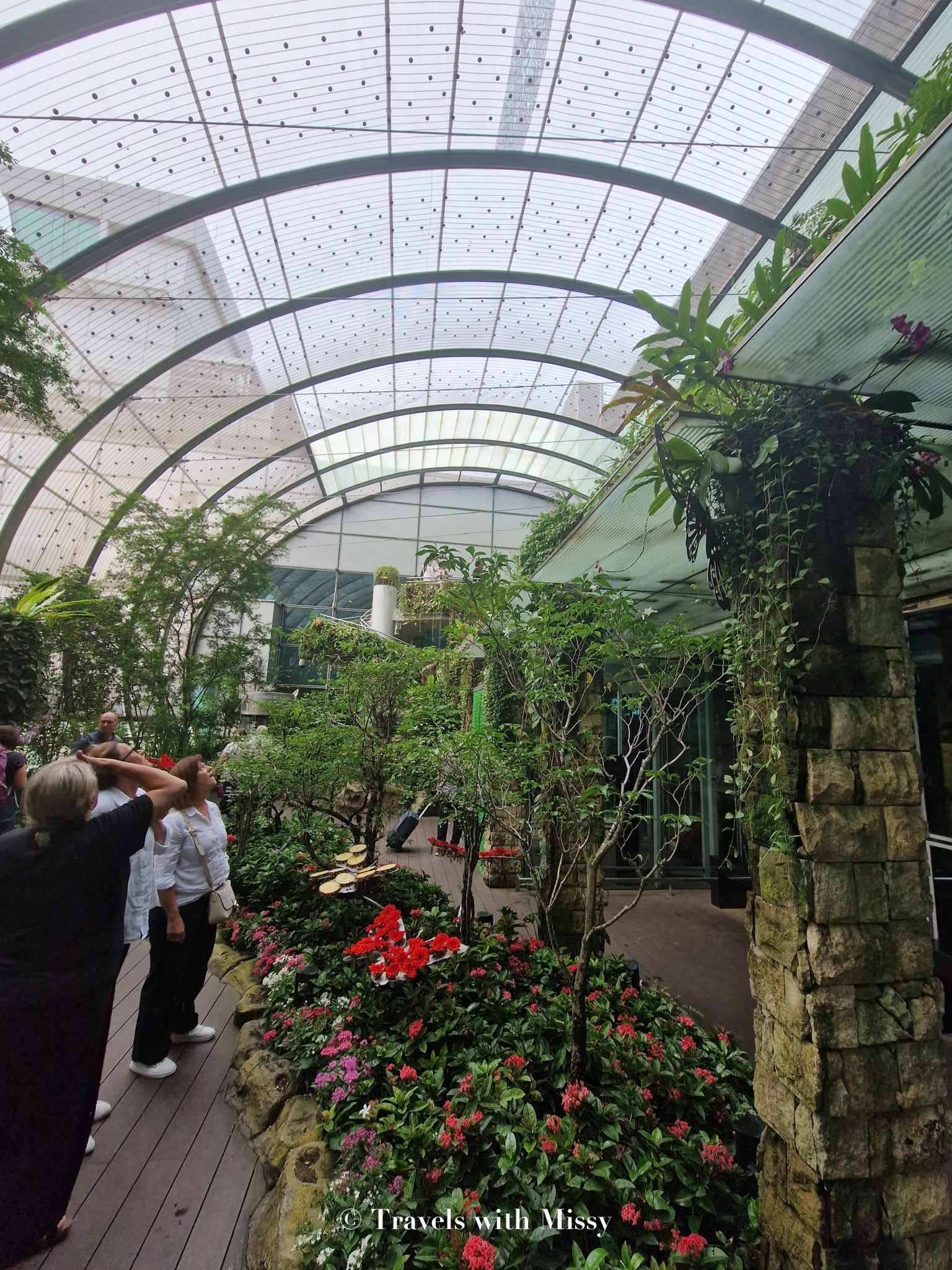 Butterfly Garden Changi Airport A Breathtaking Oasis in a Bustling Hub