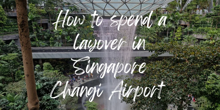 What to Do in Singapore Airport for 6 Hours: A guide