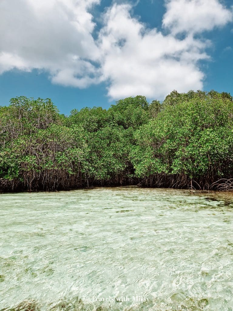 day trip to nusa lembongan from sanur