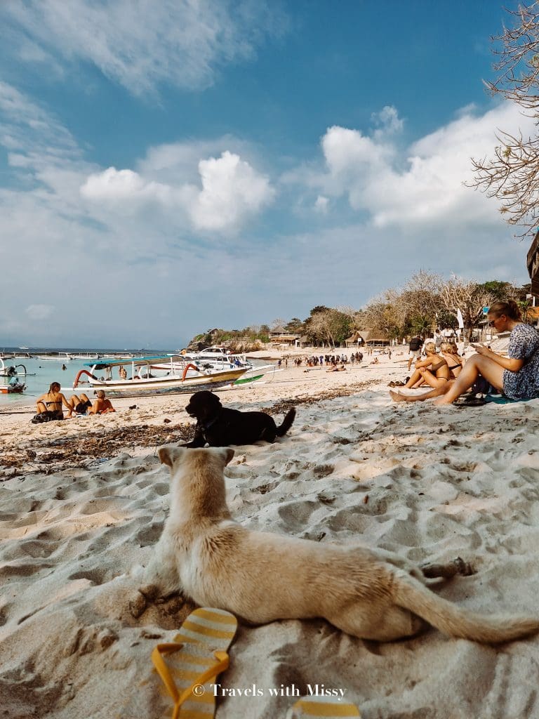 lembongan island traveller