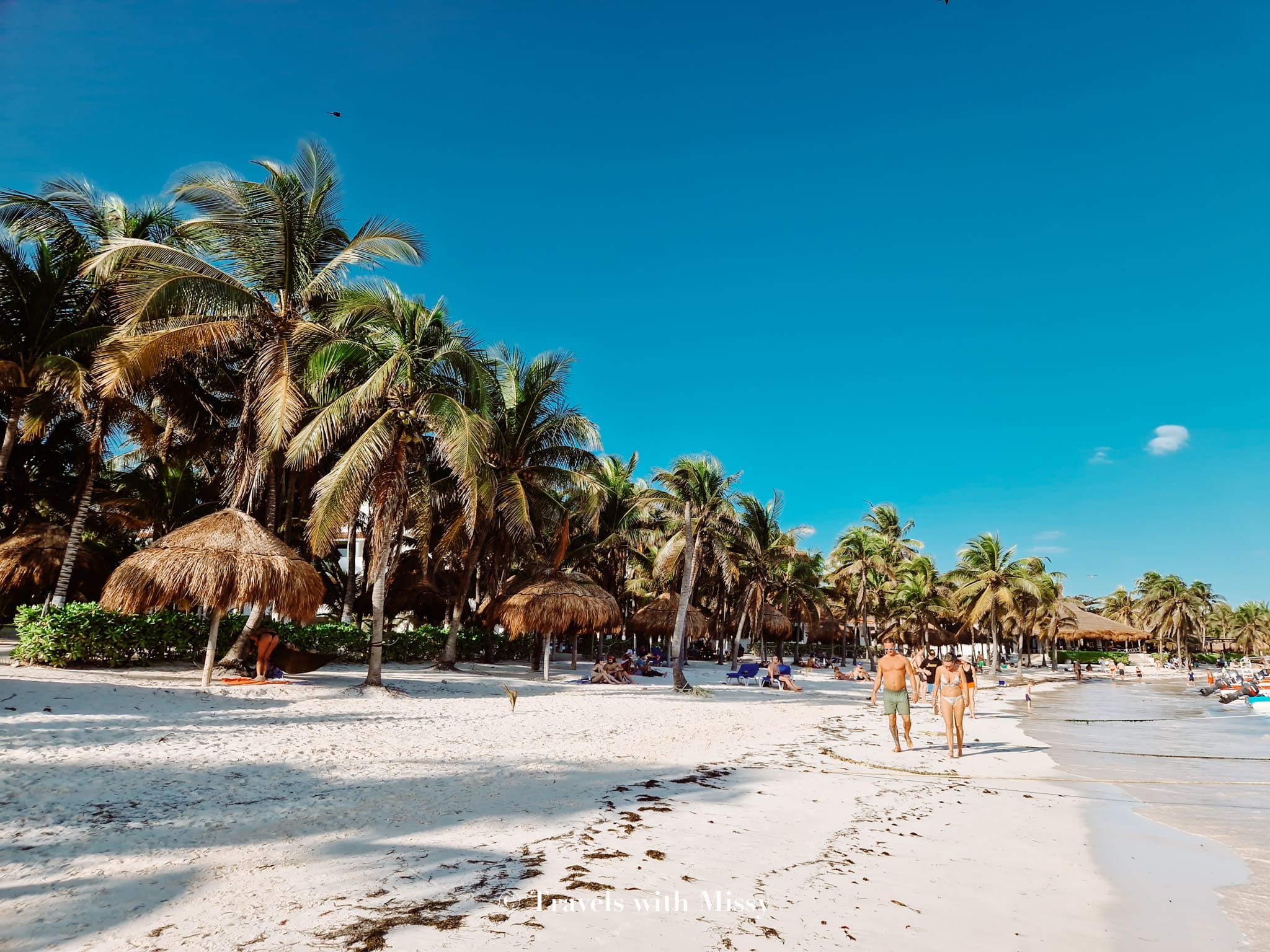 The 2024 Akumal Beach Mexico Guide Tours, Parking & Restaurants Travels With Missy