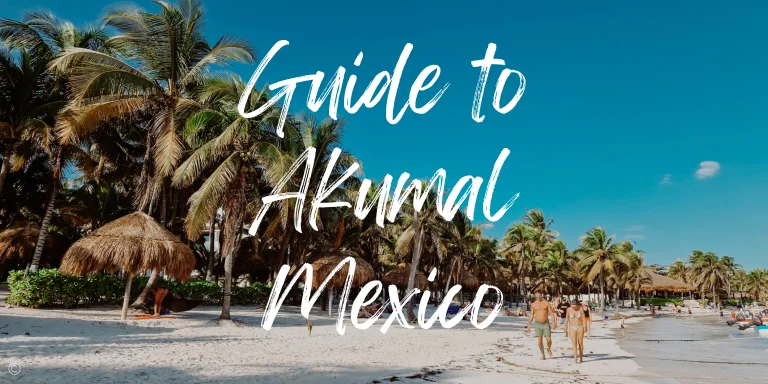 The Guide to Akumal: Hotels, Restaurants & Things To Do