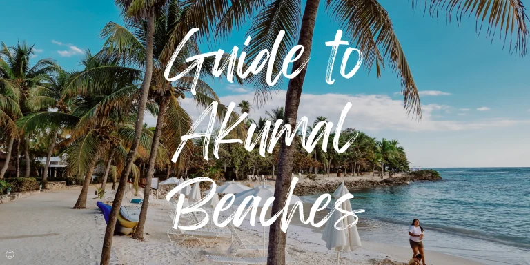 The 2025 Akumal Beach Mexico Guide –  Tours, Parking & Restaurants