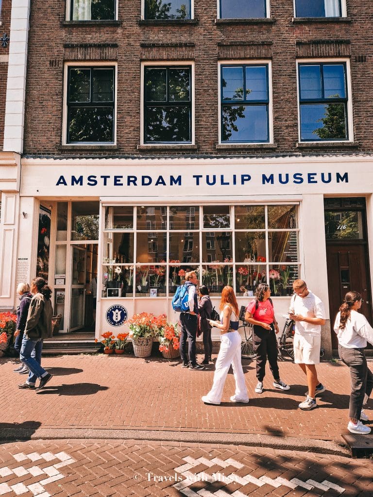 visit amsterdam tulips