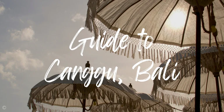 The Canggu Guide: Things to do in Canggu Bali